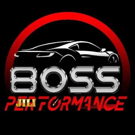 Logo 8055